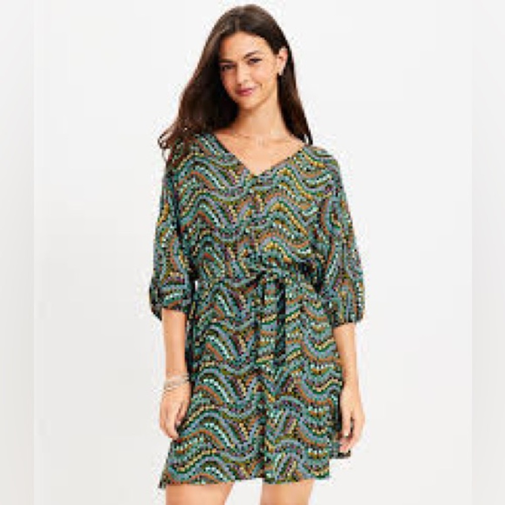 NWT LOFT Women’s XS Garden Button Dolman Pocket Dress